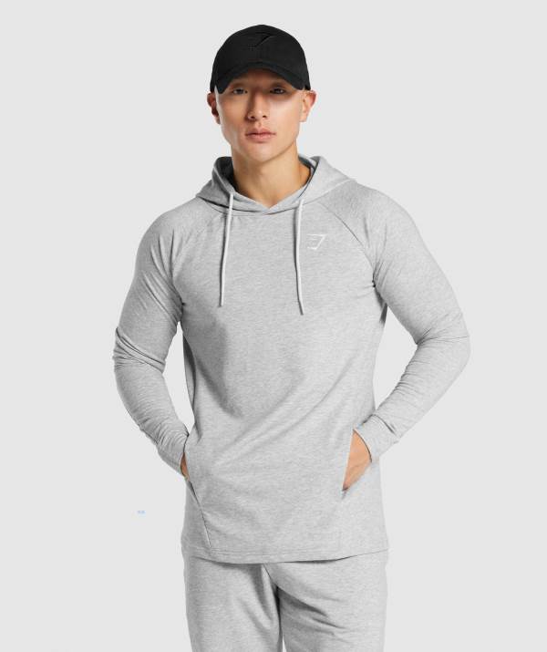 Panske Mikiny S Kapucňou Gymshark Critical 2.0 Svetlo Siva | SI2501743